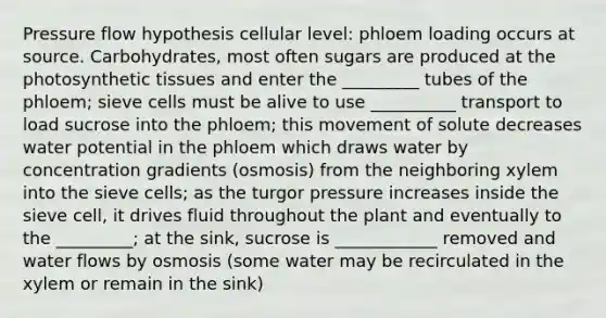 Pressure flow hypothesis cellular level: phloem loading occurs at source. Carbohydrates, most often sugars are produced at the photosynthetic tissues and enter the _________ tubes of the phloem; sieve cells must be alive to use __________ transport to load sucrose into the phloem; this movement of solute decreases water potential in the phloem which draws water by concentration gradients (osmosis) from the neighboring xylem into the sieve cells; as the turgor pressure increases inside the sieve cell, it drives fluid throughout the plant and eventually to the _________; at the sink, sucrose is ____________ removed and water flows by osmosis (some water may be recirculated in the xylem or remain in the sink)