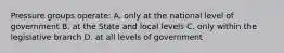 Pressure groups operate: A. only at the national level of government B. at the State and local levels C. only within the legislative branch D. at all levels of government