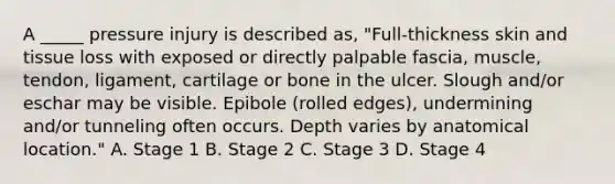 A _____ pressure injury is described as, "Full-thickness skin and tissue loss with exposed or directly palpable fascia, muscle, tendon, ligament, cartilage or bone in the ulcer. Slough and/or eschar may be visible. Epibole (rolled edges), undermining and/or tunneling often occurs. Depth varies by anatomical location." A. Stage 1 B. Stage 2 C. Stage 3 D. Stage 4