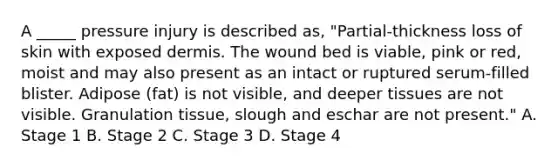 A _____ pressure injury is described as, "Partial-thickness loss of skin with exposed dermis. The wound bed is viable, pink or red, moist and may also present as an intact or ruptured serum-filled blister. Adipose (fat) is not visible, and deeper tissues are not visible. Granulation tissue, slough and eschar are not present." A. Stage 1 B. Stage 2 C. Stage 3 D. Stage 4