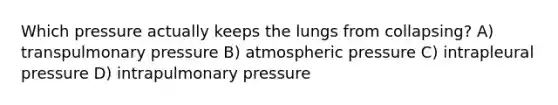 Which pressure actually keeps the lungs from collapsing? A) transpulmonary pressure B) atmospheric pressure C) intrapleural pressure D) intrapulmonary pressure