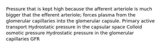 Pressure that is kept high because the afferent arteriole is much bigger that the efferent arteriole; forces plasma from the glomerular capillaries into the glomerular capsule. Primary active transport Hydrostatic pressure in the capsular space Colloid osmotic pressure Hydrostatic pressure in the glomerular capillaries GFR