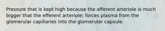 Pressure that is kept high because the afferent arteriole is much bigger that the efferent arteriole; forces plasma from the glomerular capillaries into the glomerular capsule.