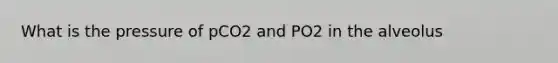 What is the pressure of pCO2 and PO2 in the alveolus