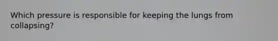 Which pressure is responsible for keeping the lungs from collapsing?