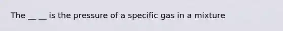 The __ __ is the pressure of a specific gas in a mixture