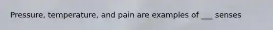 Pressure, temperature, and pain are examples of ___ senses