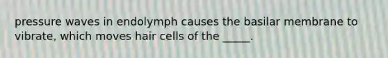 pressure waves in endolymph causes the basilar membrane to vibrate, which moves hair cells of the _____.