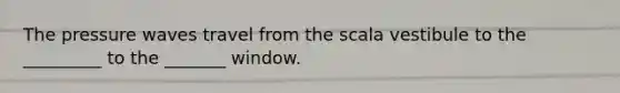 The pressure waves travel from the scala vestibule to the _________ to the _______ window.