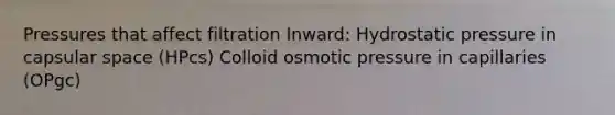 Pressures that affect filtration Inward: Hydrostatic pressure in capsular space (HPcs) Colloid osmotic pressure in capillaries (OPgc)