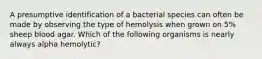 A presumptive identification of a bacterial species can often be made by observing the type of hemolysis when grown on 5% sheep blood agar. Which of the following organisms is nearly always alpha hemolytic?