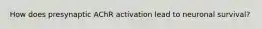 How does presynaptic AChR activation lead to neuronal survival?