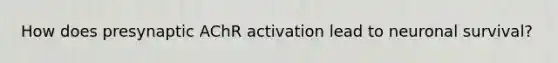 How does presynaptic AChR activation lead to neuronal survival?