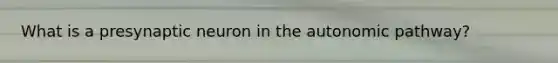What is a presynaptic neuron in the autonomic pathway?