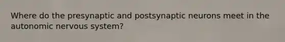 Where do the presynaptic and postsynaptic neurons meet in the autonomic nervous system?