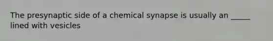 The presynaptic side of a chemical synapse is usually an _____ lined with vesicles