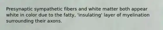 Presynaptic sympathetic fibers and white matter both appear white in color due to the fatty, 'insulating' layer of myelination surrounding their axons.