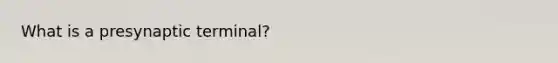 What is a presynaptic terminal?