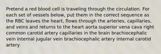 Pretend a red blood cell is traveling through the circulation. For each set of vessels below, put them in the correct sequence as the RBC leaves <a href='https://www.questionai.com/knowledge/kya8ocqc6o-the-heart' class='anchor-knowledge'>the heart</a>, flows through the arteries, capillaries, and veins and returns to the heart aorta superior vena cava right common carotid artery capillaries in <a href='https://www.questionai.com/knowledge/kLMtJeqKp6-the-brain' class='anchor-knowledge'>the brain</a> brachiocephalic vein internal jugular vein brachiocephalic artery internal carotid artery