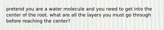 pretend you are a water molecule and you need to get into the center of the root. what are all the layers you must go through before reaching the center?