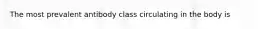 The most prevalent antibody class circulating in the body is