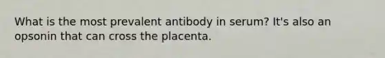 What is the most prevalent antibody in serum? It's also an opsonin that can cross the placenta.