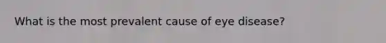 What is the most prevalent cause of eye disease?