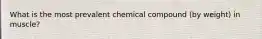 What is the most prevalent chemical compound (by weight) in muscle?