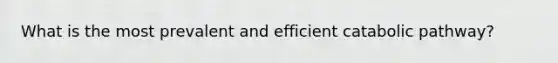 What is the most prevalent and efficient catabolic pathway?