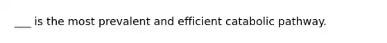 ___ is the most prevalent and efficient catabolic pathway.