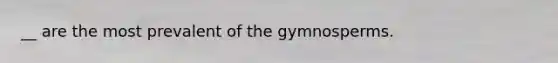 __ are the most prevalent of the gymnosperms.