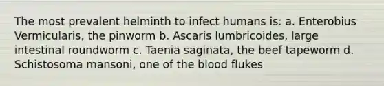 The most prevalent helminth to infect humans is: a. Enterobius Vermicularis, the pinworm b. Ascaris lumbricoides, large intestinal roundworm c. Taenia saginata, the beef tapeworm d. Schistosoma mansoni, one of the blood flukes