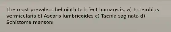 The most prevalent helminth to infect humans is: a) Enterobius vermicularis b) Ascaris lumbricoides c) Taenia saginata d) Schistoma mansoni