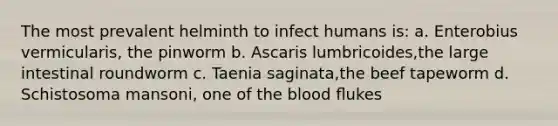 The most prevalent helminth to infect humans is: a. Enterobius vermicularis, the pinworm b. Ascaris lumbricoides,the large intestinal roundworm c. Taenia saginata,the beef tapeworm d. Schistosoma mansoni, one of the blood ﬂukes