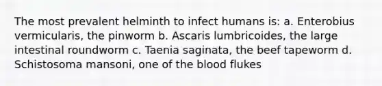 The most prevalent helminth to infect humans is: a. Enterobius vermicularis, the pinworm b. Ascaris lumbricoides, the large intestinal roundworm c. Taenia saginata, the beef tapeworm d. Schistosoma mansoni, one of the blood flukes