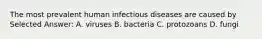 The most prevalent human infectious diseases are caused by Selected Answer: A. viruses B. bacteria C. protozoans D. fungi