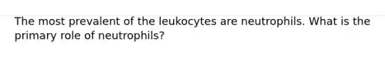 The most prevalent of the leukocytes are neutrophils. What is the primary role of neutrophils?