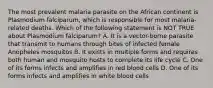 The most prevalent malaria parasite on the African continent is Plasmodium falciparum, which is responsible for most malaria-related deaths. Which of the following statement is NOT TRUE about Plasmodium falciparum? A. It is a vector-borne parasite that transmit to humans through bites of infected female Anopheles mosquitos B. It exists in multiple forms and requires both human and mosquito hosts to complete its life cycle C. One of its forms infects and amplifies in red blood cells D. One of its forms infects and amplifies in white blood cells