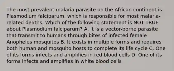 The most prevalent malaria parasite on the African continent is Plasmodium falciparum, which is responsible for most malaria-related deaths. Which of the following statement is NOT TRUE about Plasmodium falciparum? A. It is a vector-borne parasite that transmit to humans through bites of infected female Anopheles mosquitos B. It exists in multiple forms and requires both human and mosquito hosts to complete its life cycle C. One of its forms infects and amplifies in red blood cells D. One of its forms infects and amplifies in white blood cells