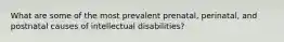 What are some of the most prevalent prenatal, perinatal, and postnatal causes of intellectual disabilities?