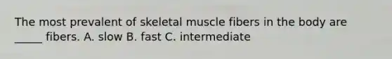 The most prevalent of skeletal muscle fibers in the body are _____ fibers. A. slow B. fast C. intermediate