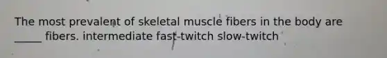 The most prevalent of skeletal muscle fibers in the body are _____ fibers. intermediate fast-twitch slow-twitch