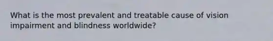 What is the most prevalent and treatable cause of vision impairment and blindness worldwide?