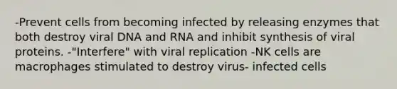 -Prevent cells from becoming infected by releasing enzymes that both destroy viral DNA and RNA and inhibit synthesis of viral proteins. -"Interfere" with viral replication -NK cells are macrophages stimulated to destroy virus- infected cells