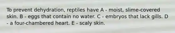 To prevent dehydration, reptiles have A - moist, slime-covered skin. B - eggs that contain no water. C - embryos that lack gills. D - a four-chambered heart. E - scaly skin.