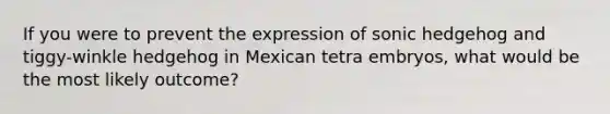 If you were to prevent the expression of sonic hedgehog and tiggy-winkle hedgehog in Mexican tetra embryos, what would be the most likely outcome?