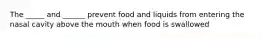 The _____ and ______ prevent food and liquids from entering the nasal cavity above the mouth when food is swallowed