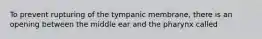 To prevent rupturing of the tympanic membrane, there is an opening between the middle ear and the pharynx called