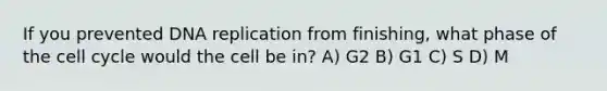 If you prevented DNA replication from finishing, what phase of the cell cycle would the cell be in? A) G2 B) G1 C) S D) M