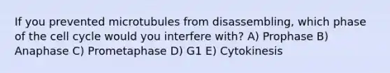 If you prevented microtubules from disassembling, which phase of the <a href='https://www.questionai.com/knowledge/keQNMM7c75-cell-cycle' class='anchor-knowledge'>cell cycle</a> would you interfere with? A) Prophase B) Anaphase C) Prometaphase D) G1 E) Cytokinesis